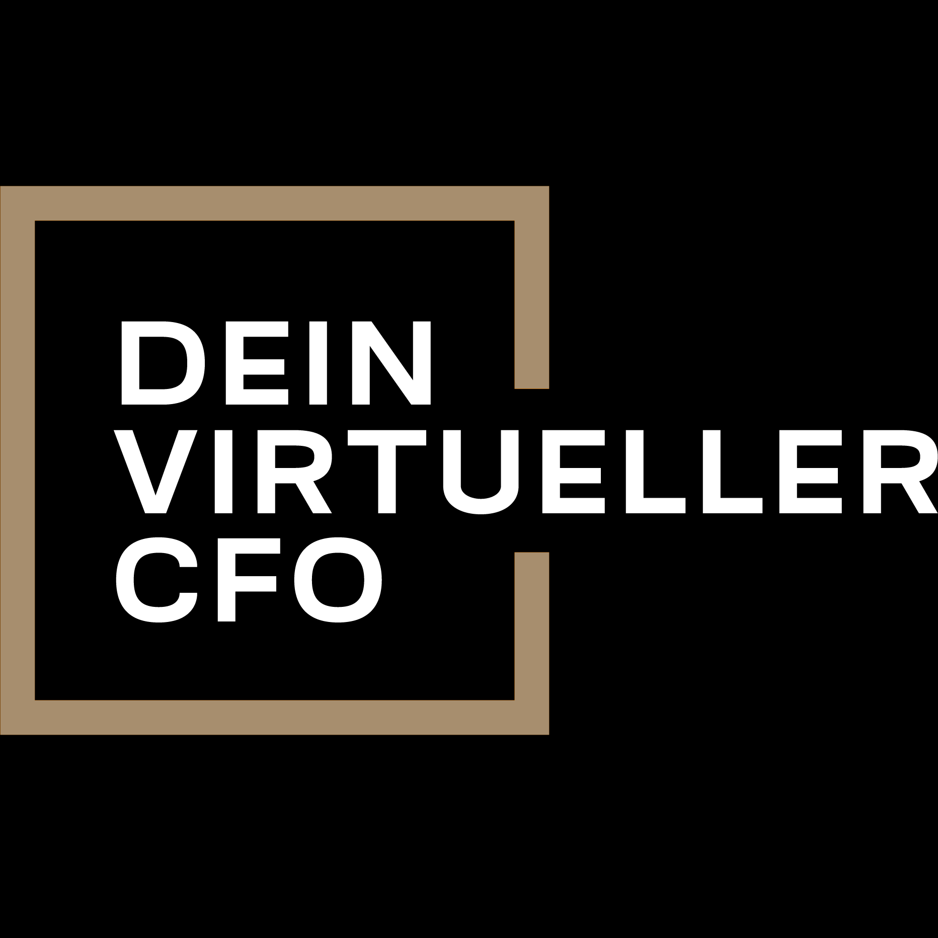 Dein Virtueller CFO Logo